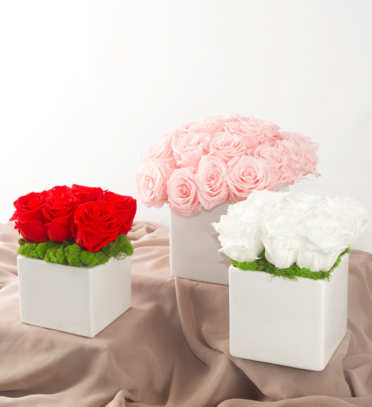 Boxed Roses