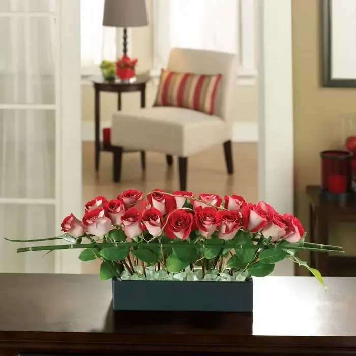 Horizon of Roses