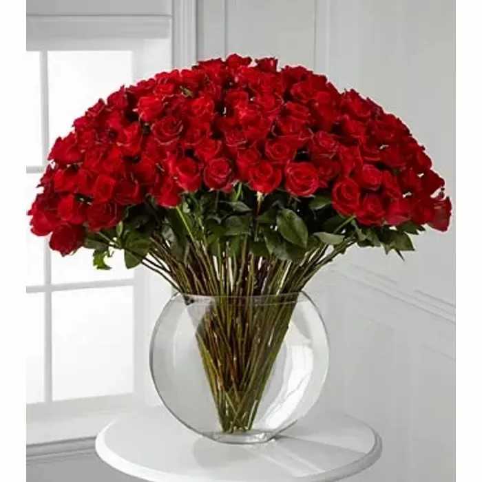 100 Roses – Bloom & Grace