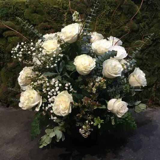 Beautiful Two Dozen