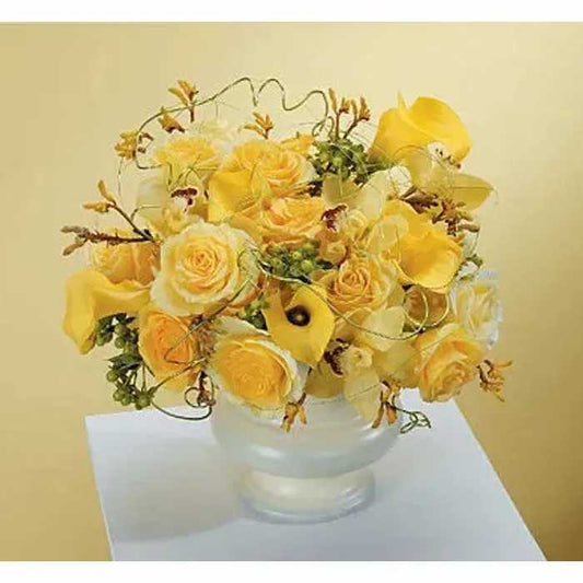 Bowl Of Yellow