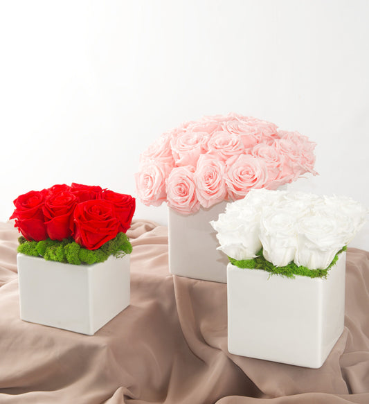 Boxed Roses