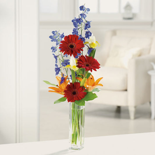 Gerbera Greetings New