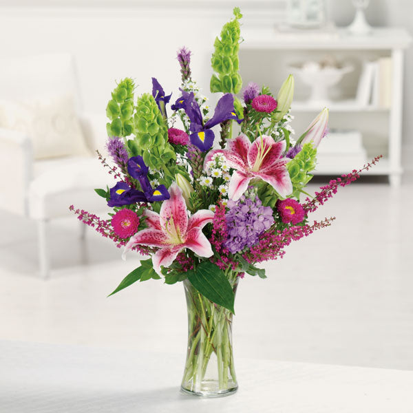 Stargazer Garden New