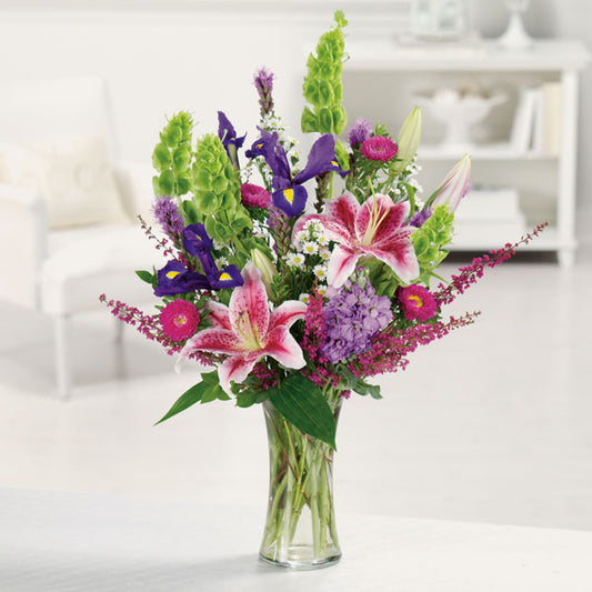 Stargazer Garden New